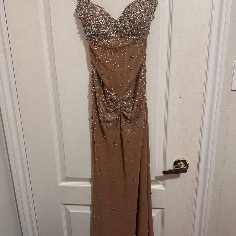 Elegant Nude and Silver Gown